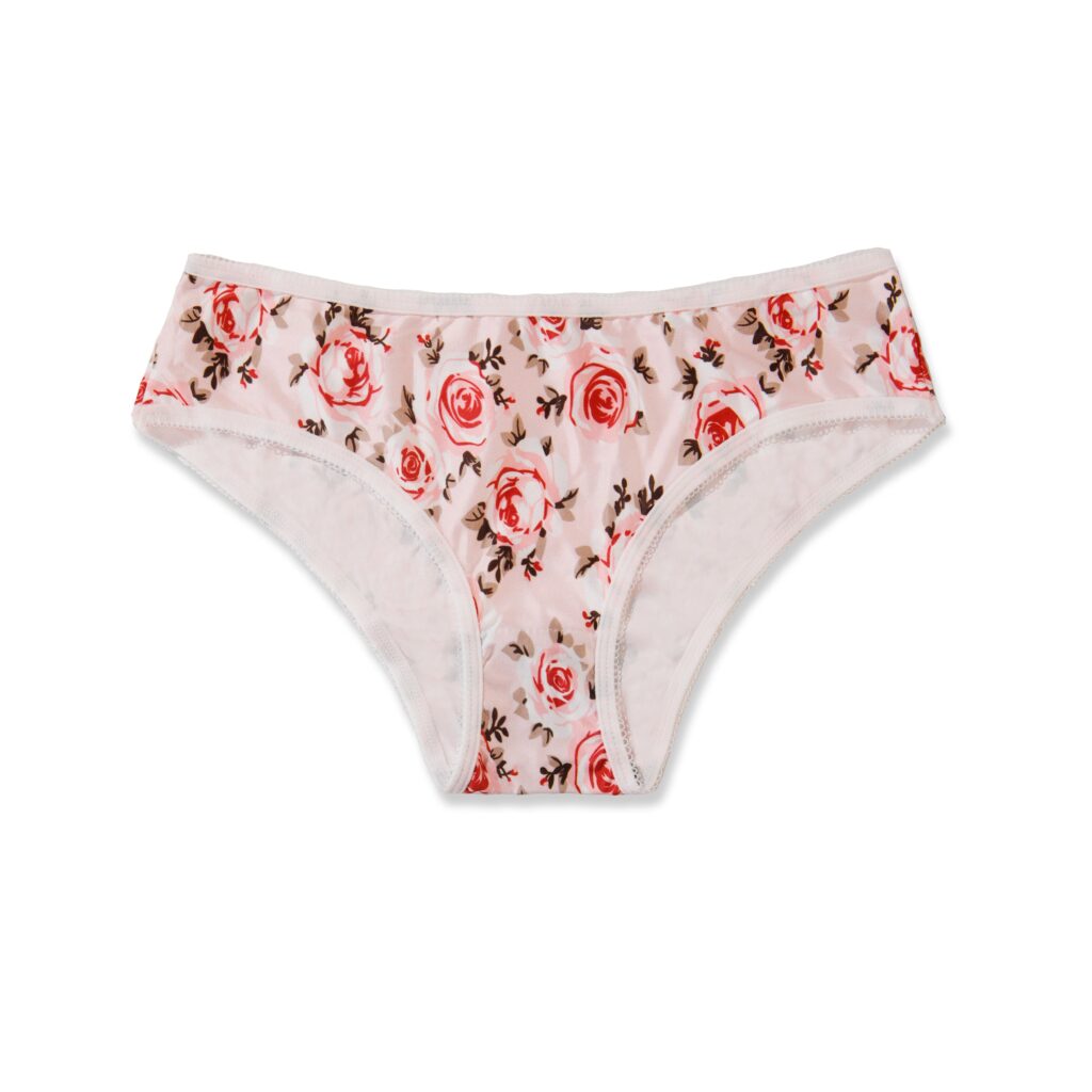 Hipster Panty - Blush Bloom