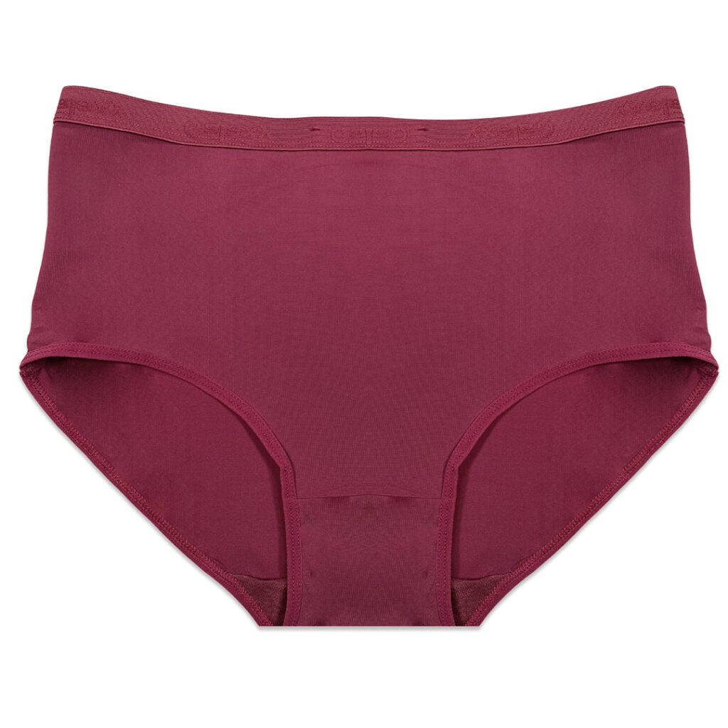 Pack of 3 Briefs Panties – Comfort