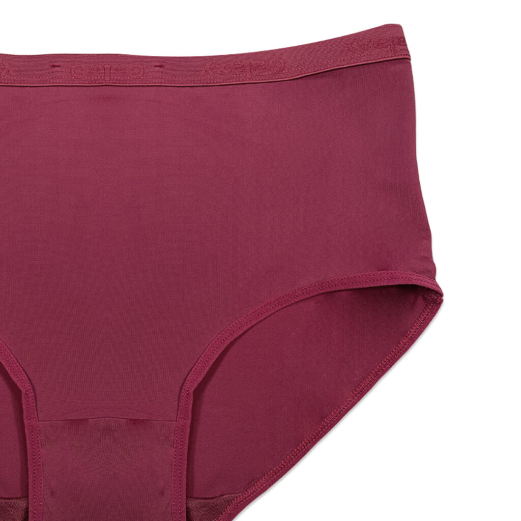 Pack of 3 Briefs Panties – Comfort