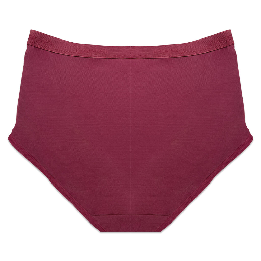Pack of 3 Briefs Panties – Comfort