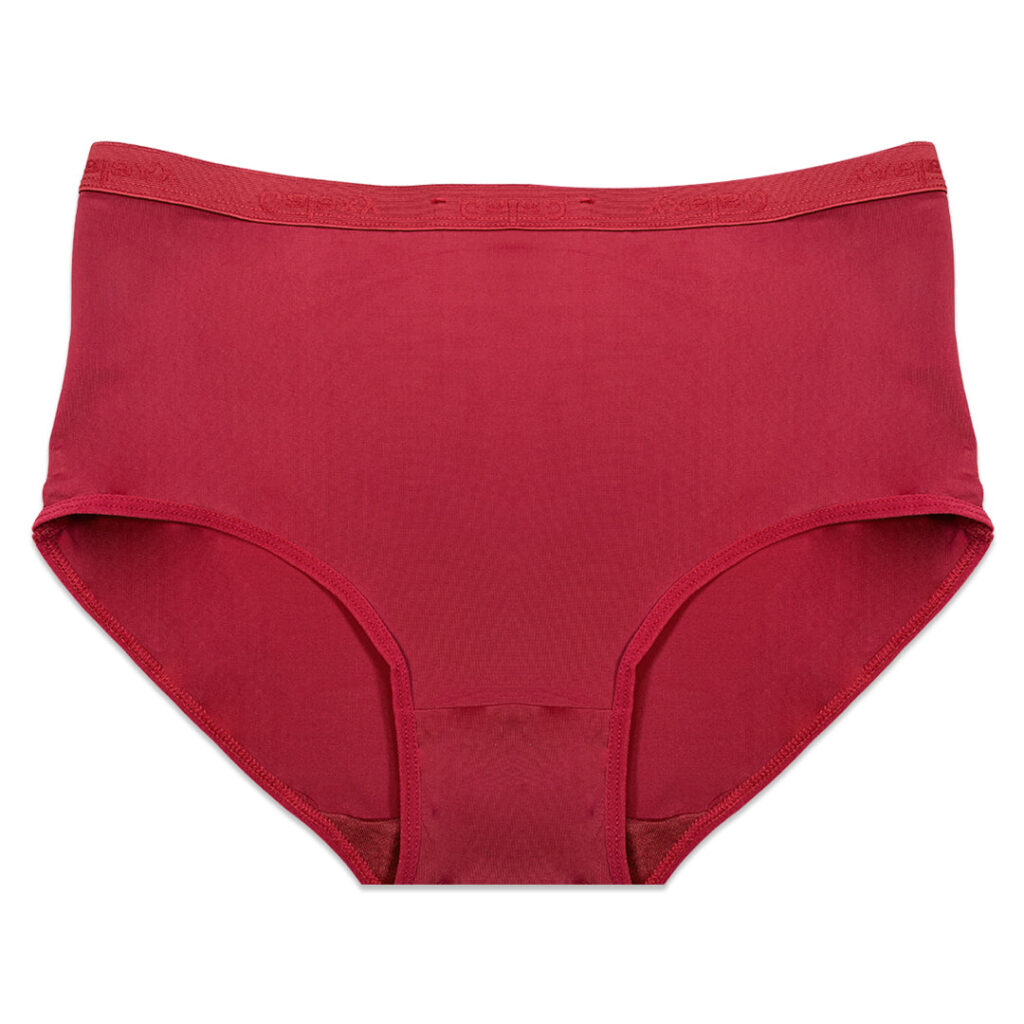 Pack of 3 Briefs Panties – Comfort