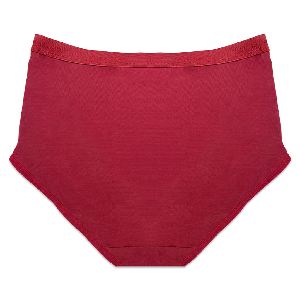 Pack of 3 Briefs Panties – Comfort