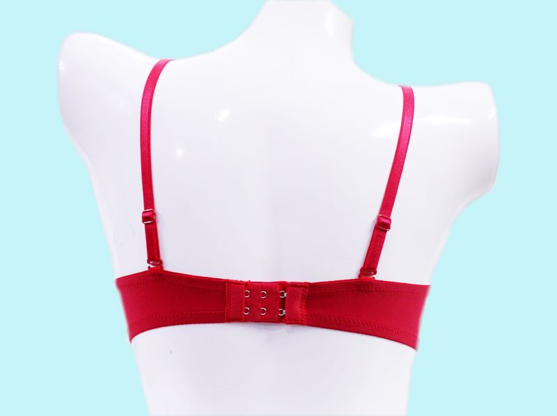 Flourish Perfect Lift Padded Wired Push-up