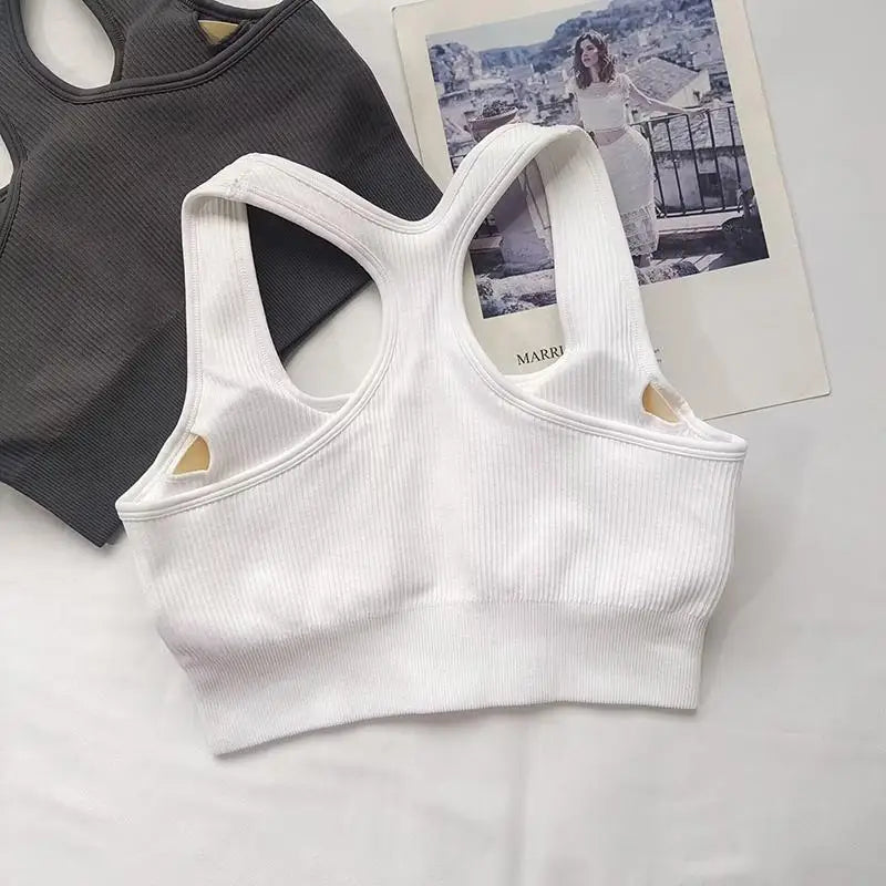 Pack of 3 Ribbed Padded Front Zip Sports Bras – Breathable Active